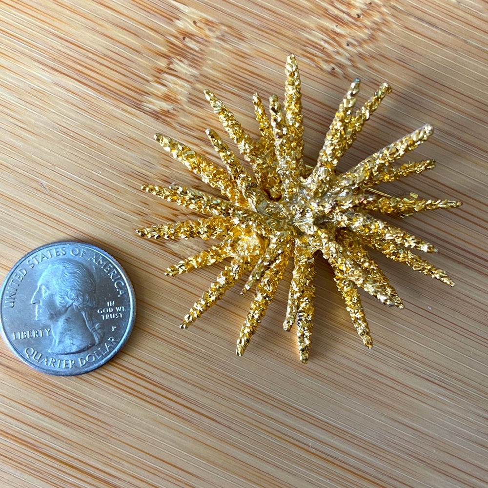 Starburst pin